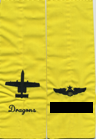 357-TFTS-A-10A-Davis-Monthan-AFB-v4.png