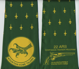 22-ARS-T-38A-Mt-Home-AFB-side-A.png