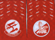 389-FS-F-15E-Mountain-Home-AFB-RW2202-Side-B.png