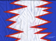 Thunderbird-F-16-1997-side-B.png