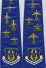 AFRC-Robbins-AFB.png