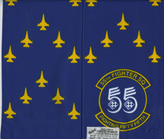 55-FS-F-16C-Shaw-AFB-1998.png