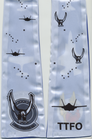 355-FS-F-35A-Eielson-AFB-RW2249-Side-B.png