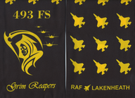 493-FS-F-35A-RAF-Lakenheath-RW2236-Side-A.png