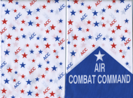 ACC-Langley-AFB-1992.png