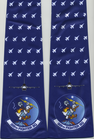 309-FS-F-16C-Luke-AFB-RW2187-Side-B.png