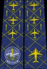 7-AS-C-17A-McCord-AFB-S0166.jpg