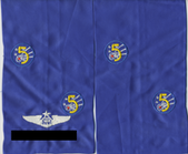 5-AF-Yokota-AB-v4-personalized.png